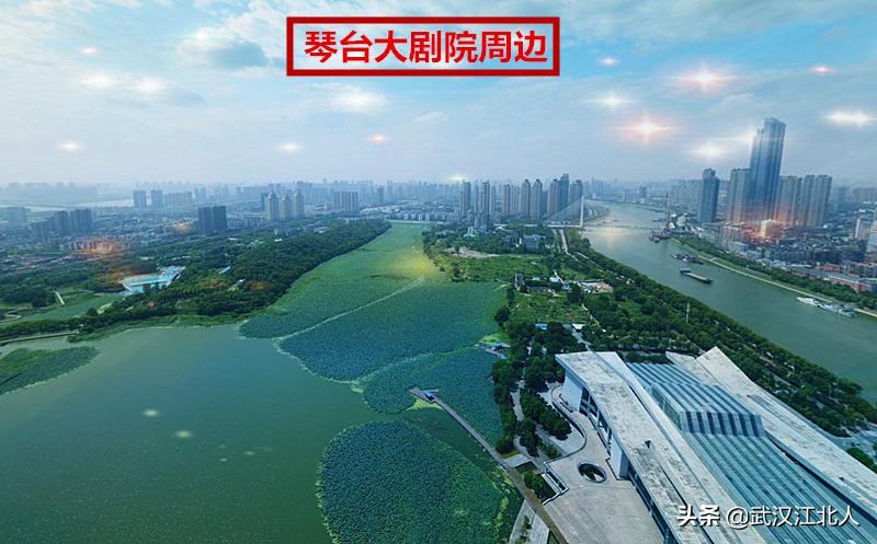 蔡甸江夏黄陂新洲哪个区好,蔡甸和江夏哪个发达