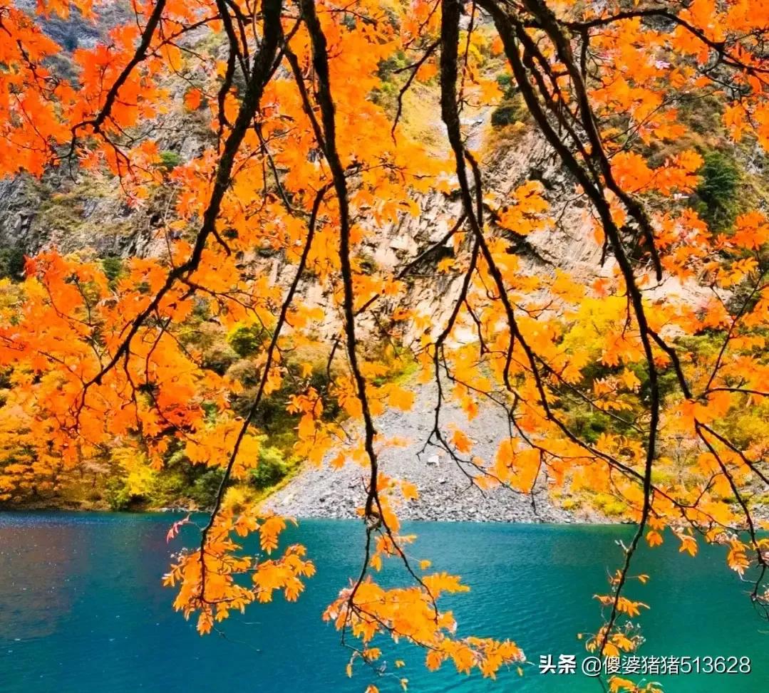 冬日人生感慨十二首,冬日感言七绝诗