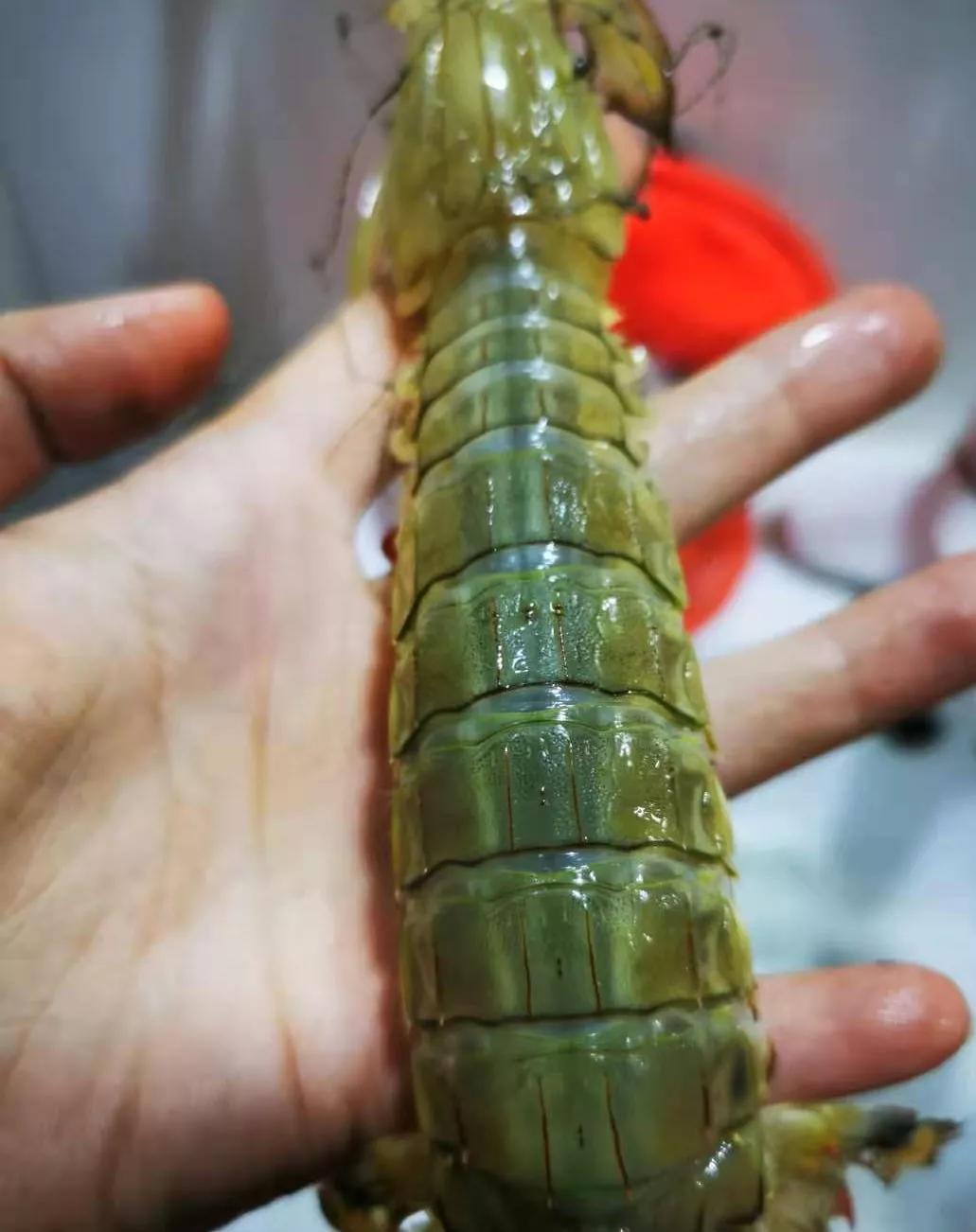 东疆港两日游攻略路线推荐,去东疆港赶海攻略