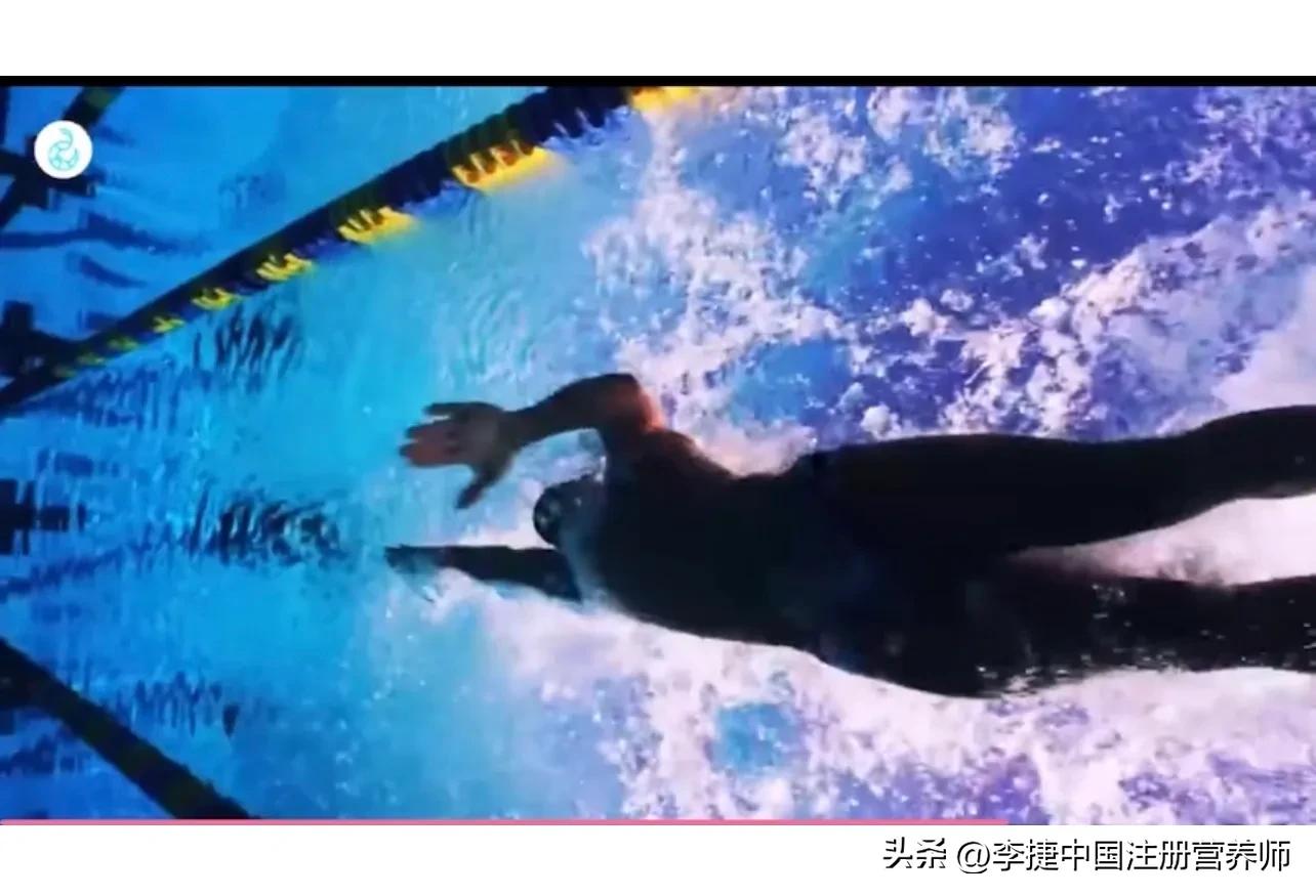 前游泳冠军谈自由泳技术,舒曼自由泳视频