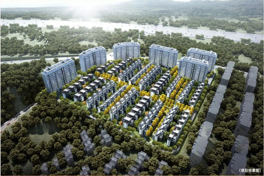 大华地产南宁,大华城南宁