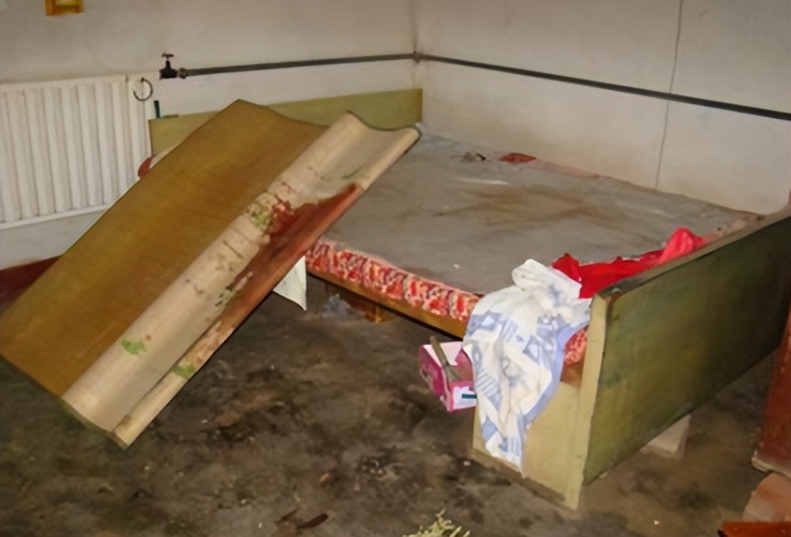 北大学霸杀母案最新结果,北大学霸杀母案枪毙吗