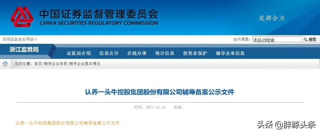 认养一头牛如何干翻蒙牛伊利,认养一头牛试喝奶粉