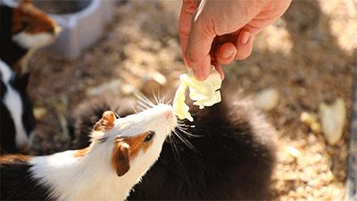 抓紧享受假期的尾巴,抓住假期小尾巴愉快的五一假期