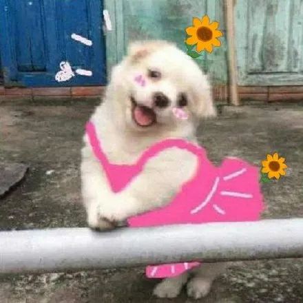 何必去苏杭,福州附近最值得去的古村