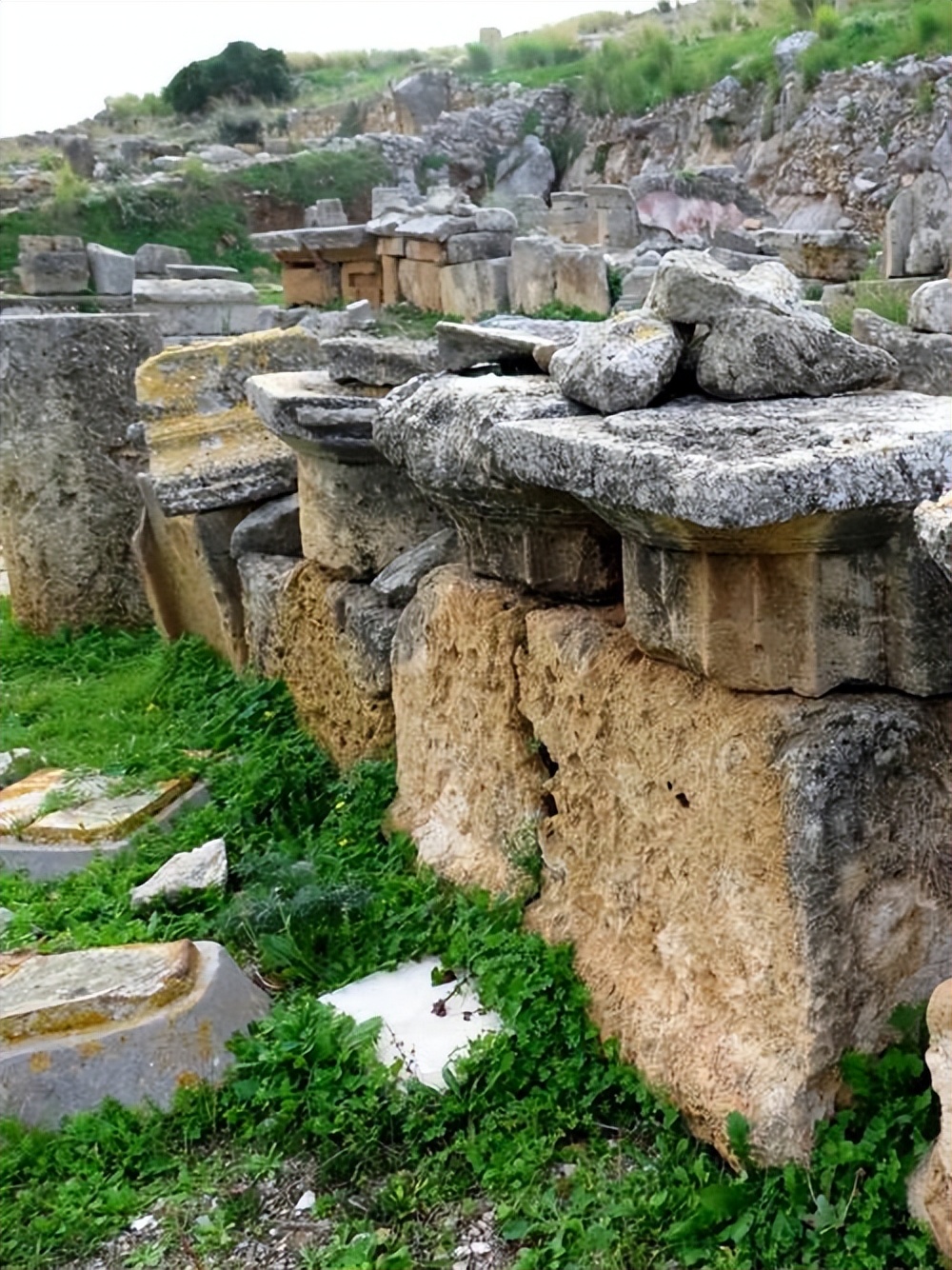 突尼斯历史遗产和建筑，反映了突尼斯怎样的文化背景？