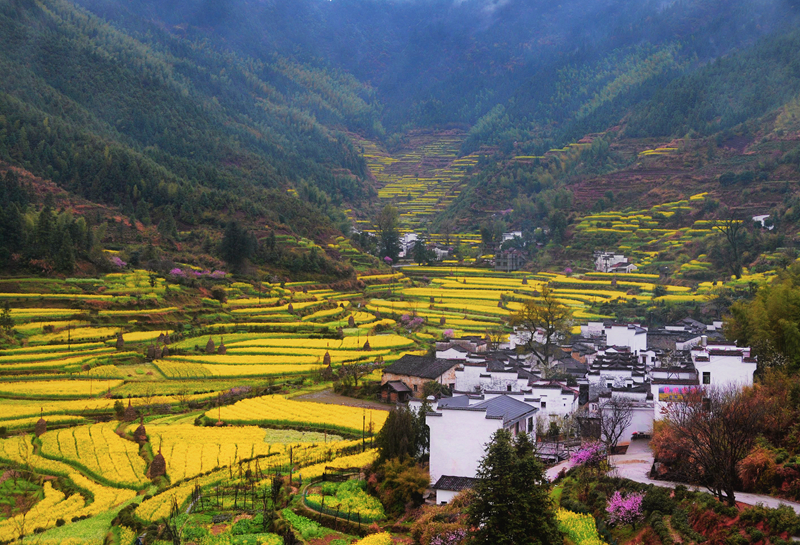 春色满园风景摄影,婺源摄影写真