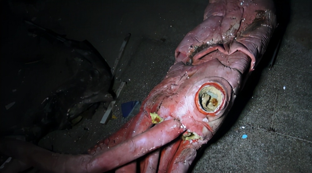 僵尸水族馆原片 (恐怖鲨鱼僵尸)