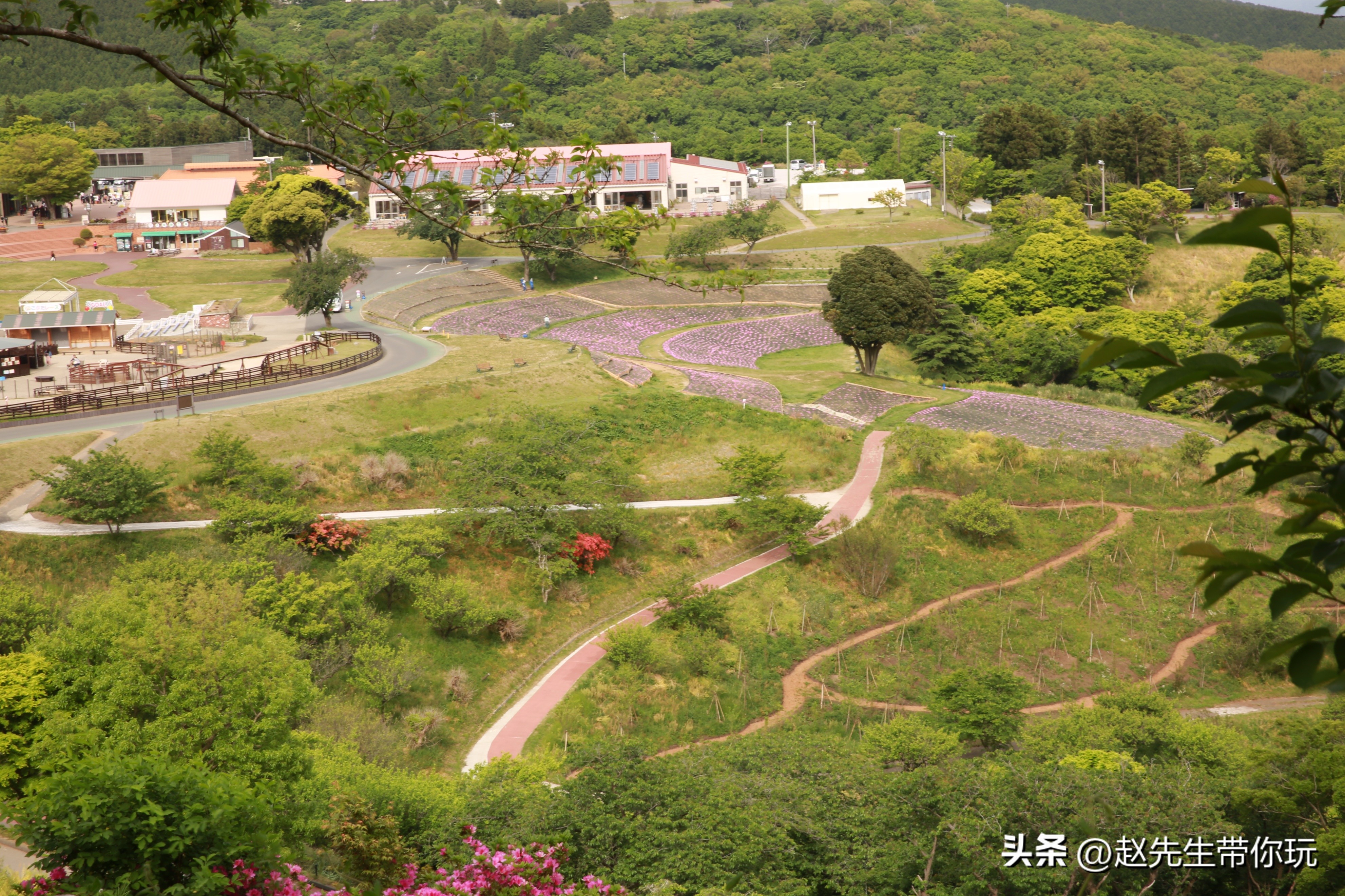 20年旅行总结,二十年游历分享