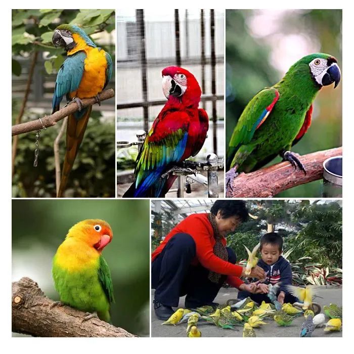 【FENG娱】王佐镇：娱乐+科普+自然，暑假解锁亲子出游新方式！