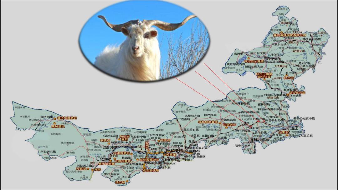 羊绒围巾和羊毛围巾哪个质感好,正宗品牌羊绒围巾好一点的