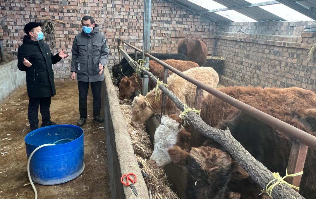 畜牧养殖拉动乡村农业产业化发展,畜牧养殖业发展思路