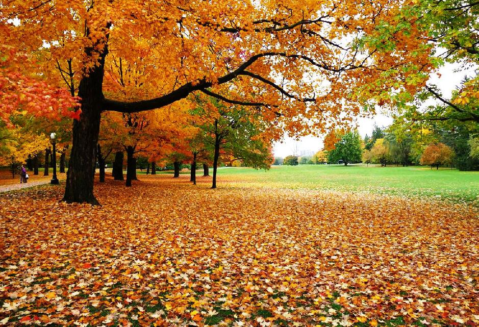 古今中外最著名的十首诗,古今最经典的十首诗