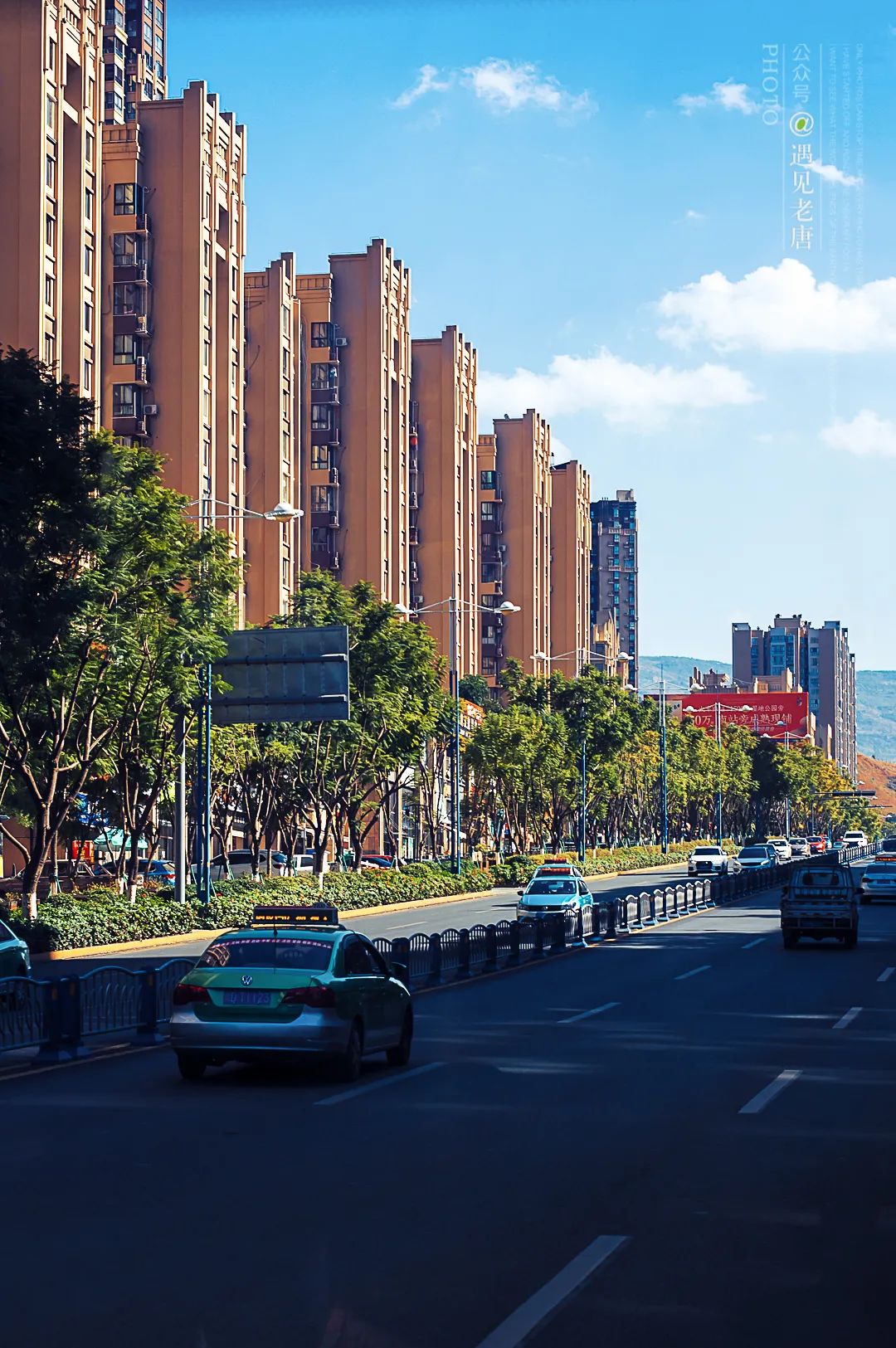 攀枝花是一种什么花,什么是攀枝花铁树