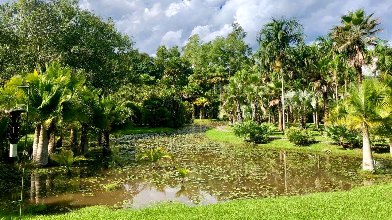 云南全部5a级旅游景点有哪些,云南拟新增10个国家4a级旅游景区