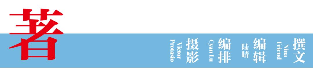 实用厨刀选择指南,业余厨刀选择