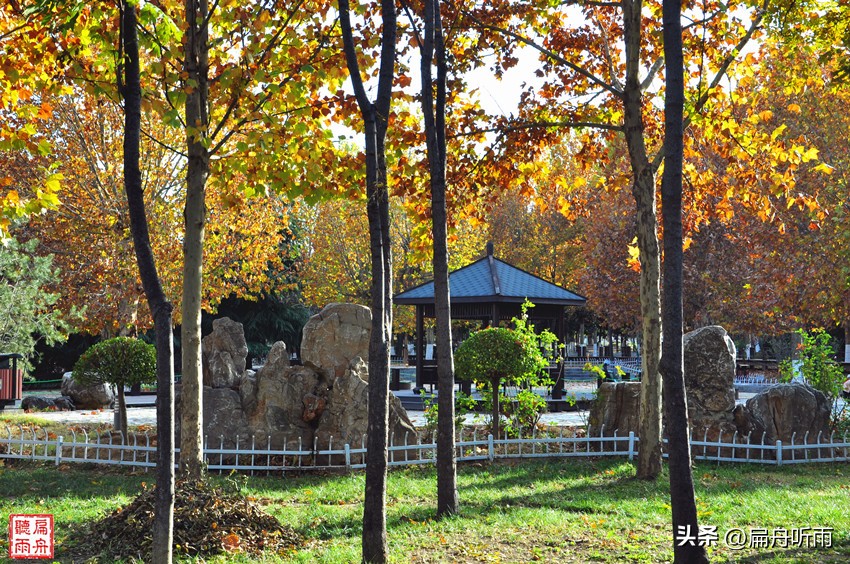 7月郑州凉快遛娃公园排行榜,郑州龙子湖避暑遛娃的地方