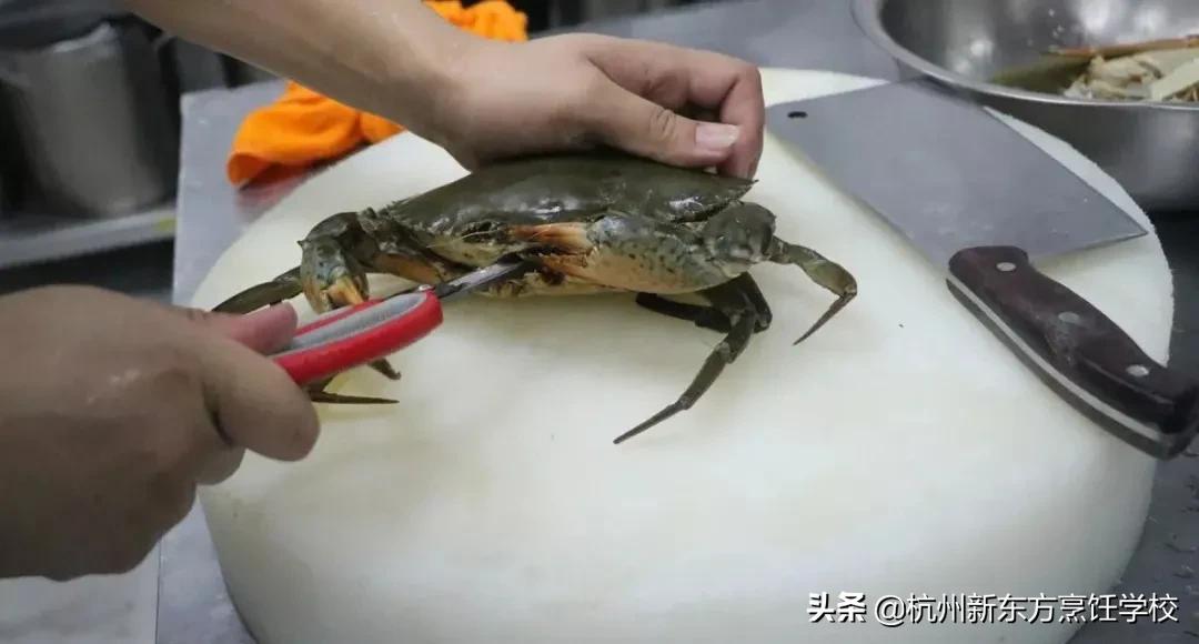 九道菜馆推荐菜,九道酒楼口碑菜品