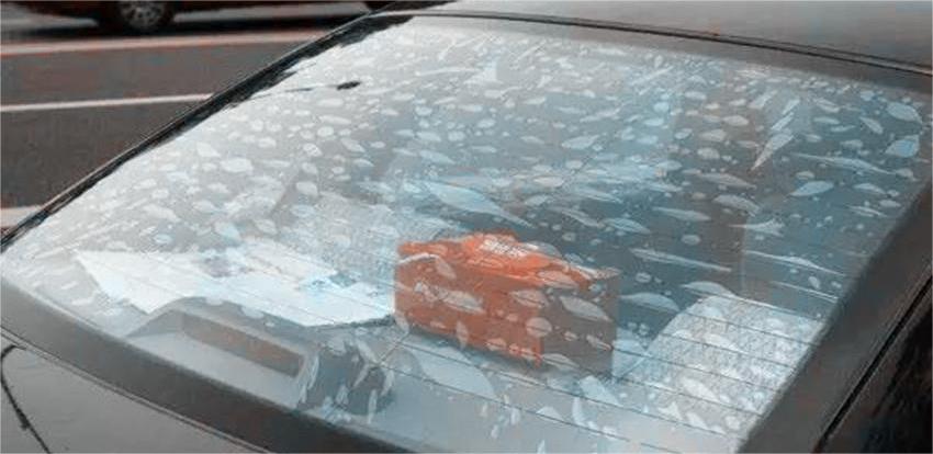 MakeMan美国马克曼:玻璃膜起泡原因、处理办法、贴膜后注意事项