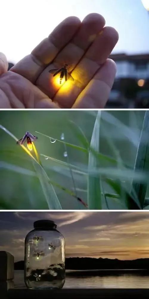 亚东以前的视频,亚东早期的视频