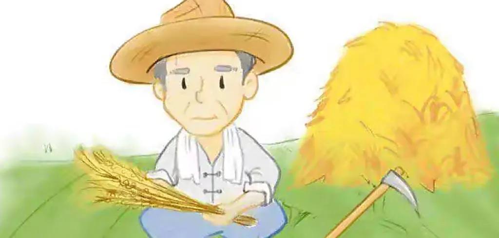 公文用典05|大势篇:生态维度(1)