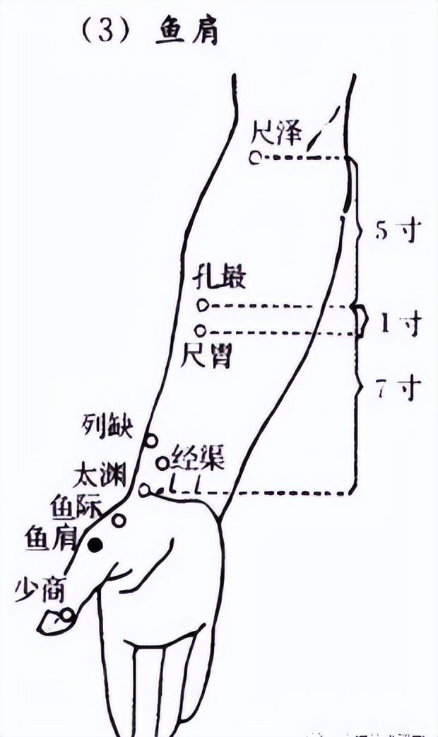 肩周炎针灸视频,肩周炎全息针灸
