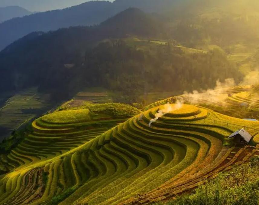 办公桌摆放朝北还是朝南,南屋北窗户办公桌怎么摆放