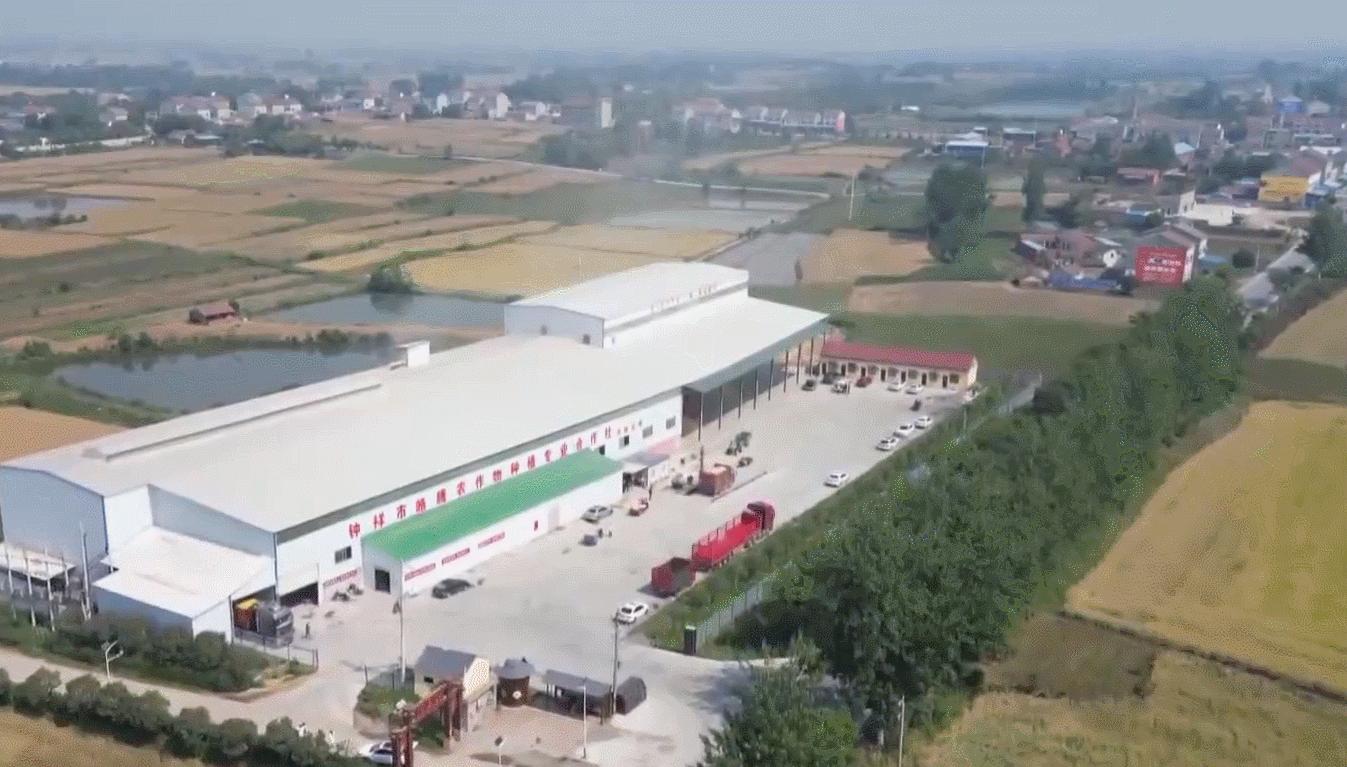 “malimaliHong！”这里有一份颗粒归仓的秘诀→