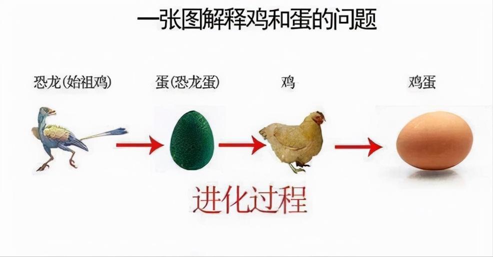 人类第一个女人是哪里来的,每个人都是女人生的吗