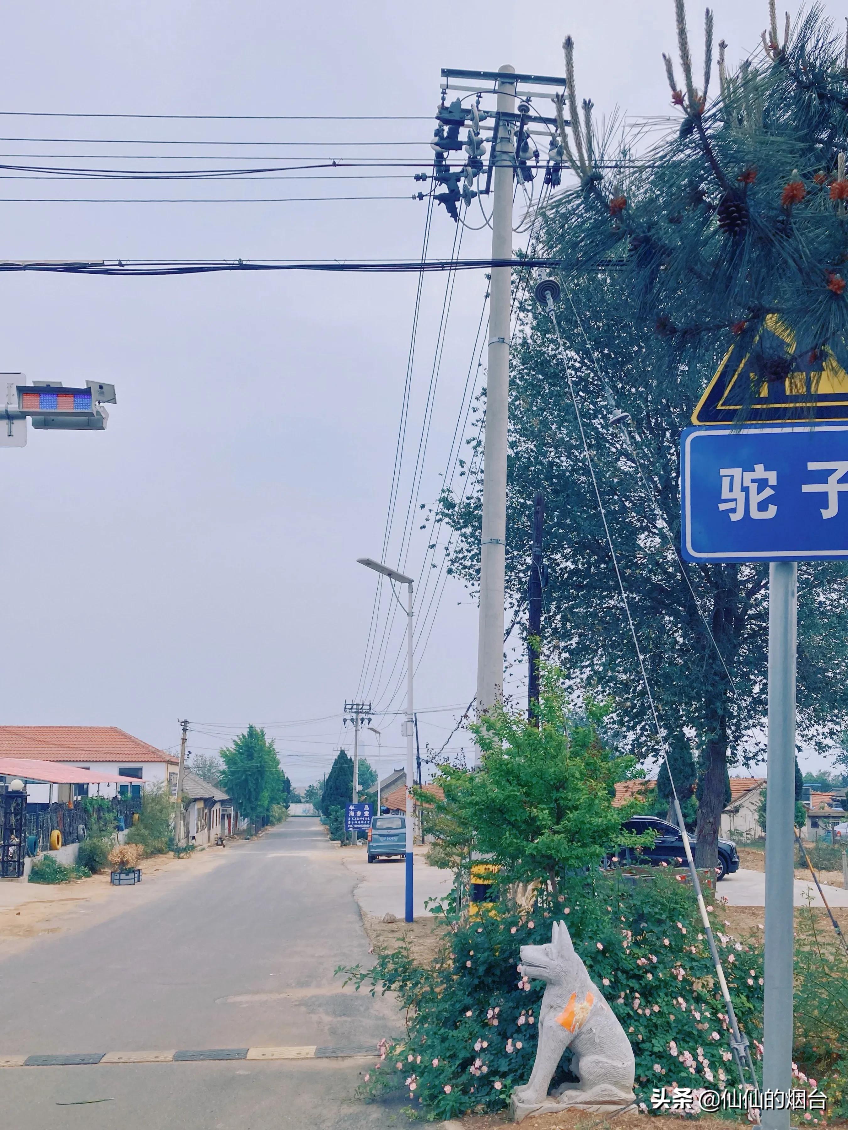 养马岛值得特意跑一趟吗,养马岛最值得看的几个地方