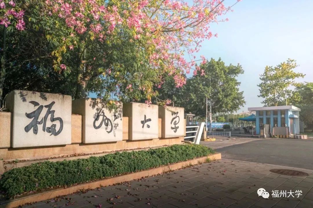 厦大福大,福建厦大文科要排名多少才能上