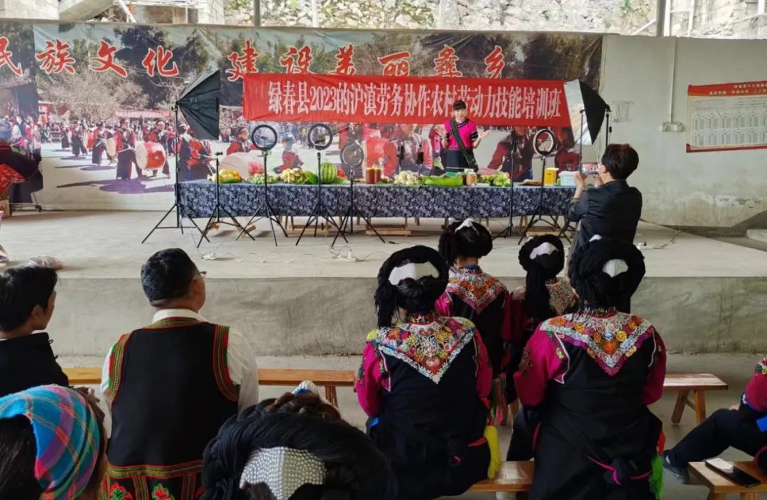 乡村产业振兴人才下乡方案,乡村振兴技术员下乡