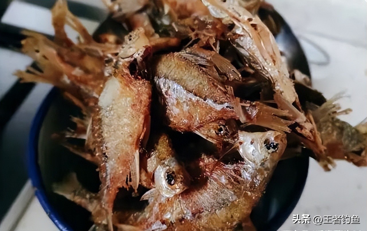 钓小鱼的鳑鲏十种方法,钓鳑鲏鱼最佳季节