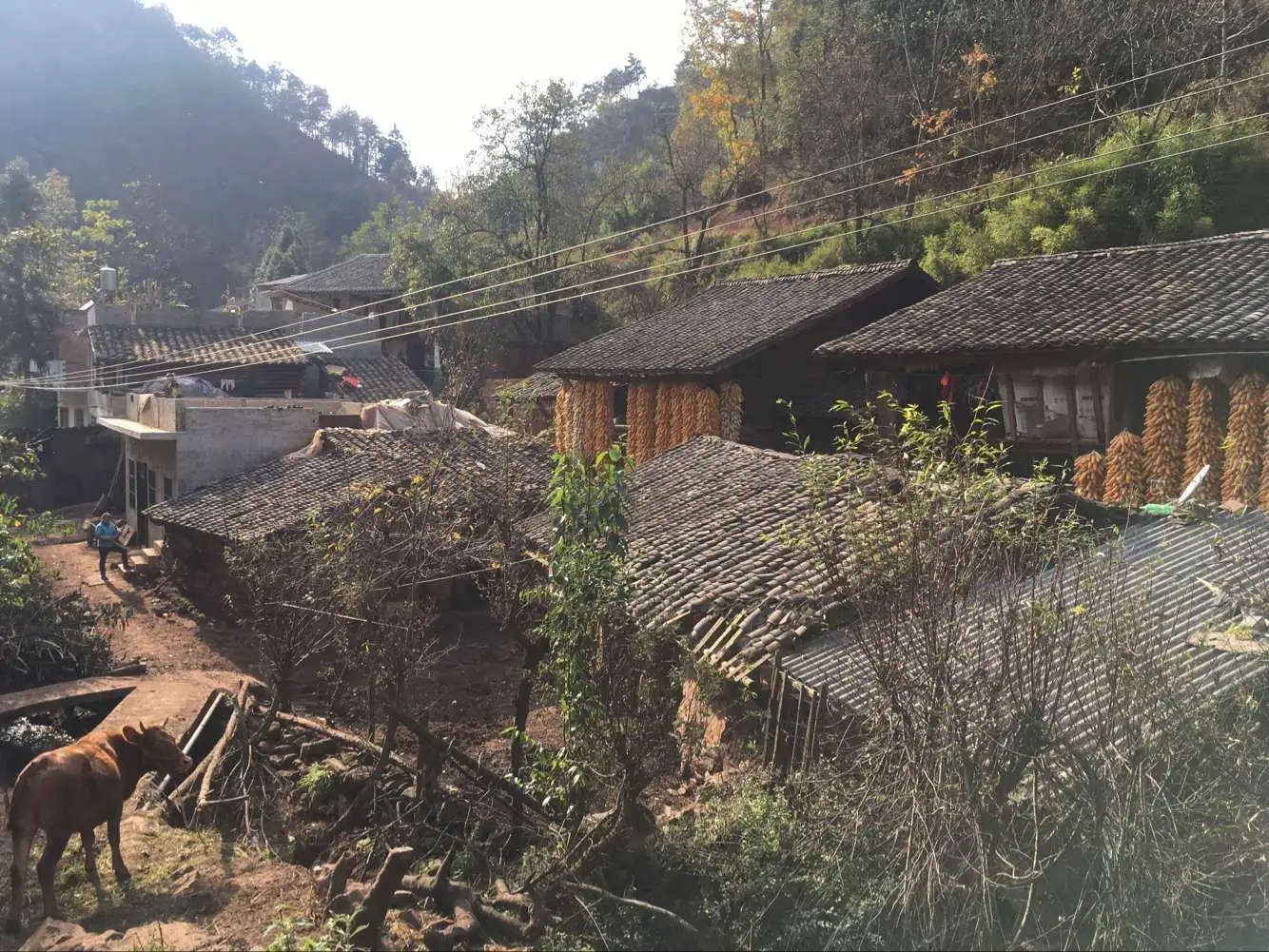 2009年，云南一男子强占发廊女为妻，住深山老林，最后结果如何？