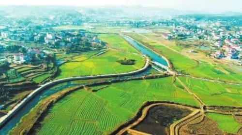 三农问题良心话之四：双季稻，莫把算盘子挂在云端上