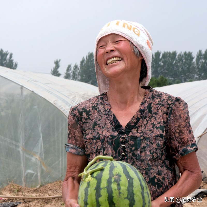 封闭除草剂丙草胺,对农作物有抑制的农药