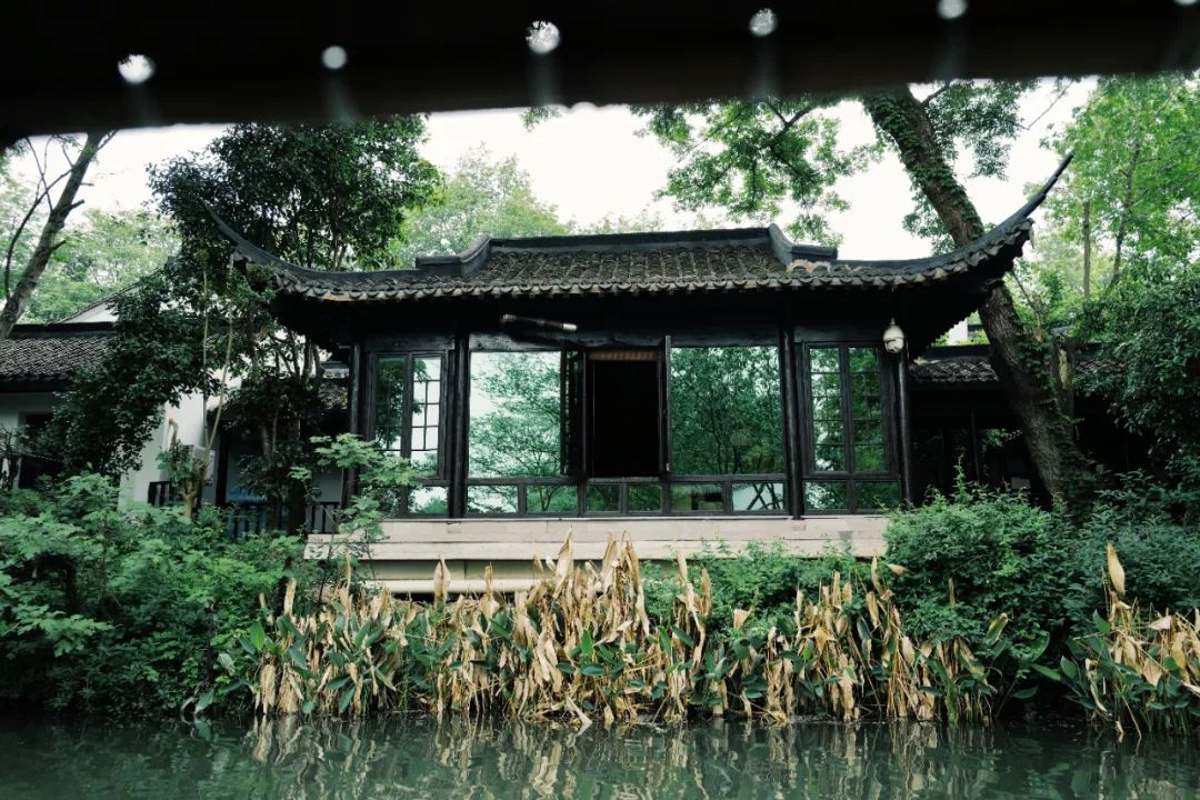 春天的潺潺溪水,春天的顶流