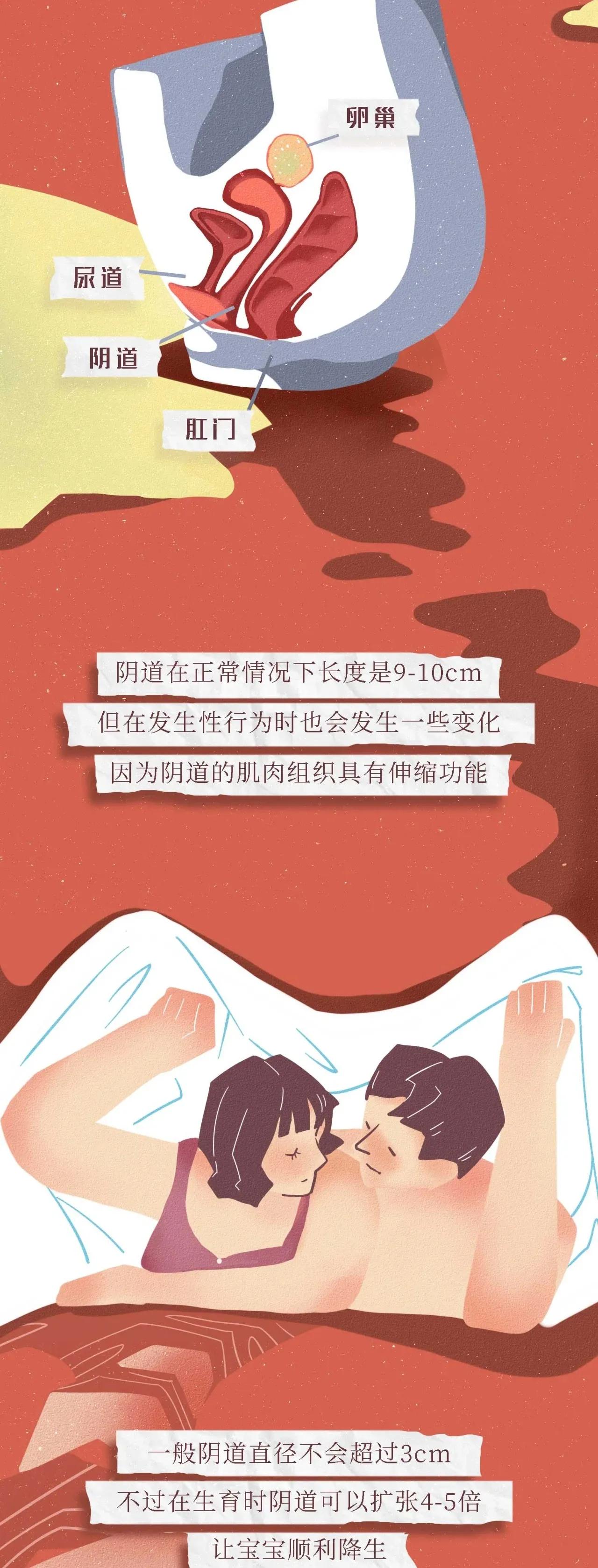 女性阴道生理科普知识点书,女性生理科普知识点大全漫画