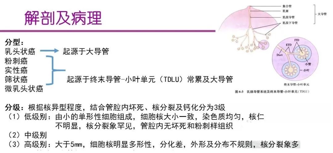 联合检查达到的效果,合并导管原位癌