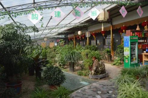 曾经被大家追捧的农家乐，为什么现在很少有人去？网友评论是亮点