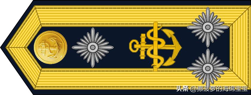 二战德国国防军医疗兵军衔标志