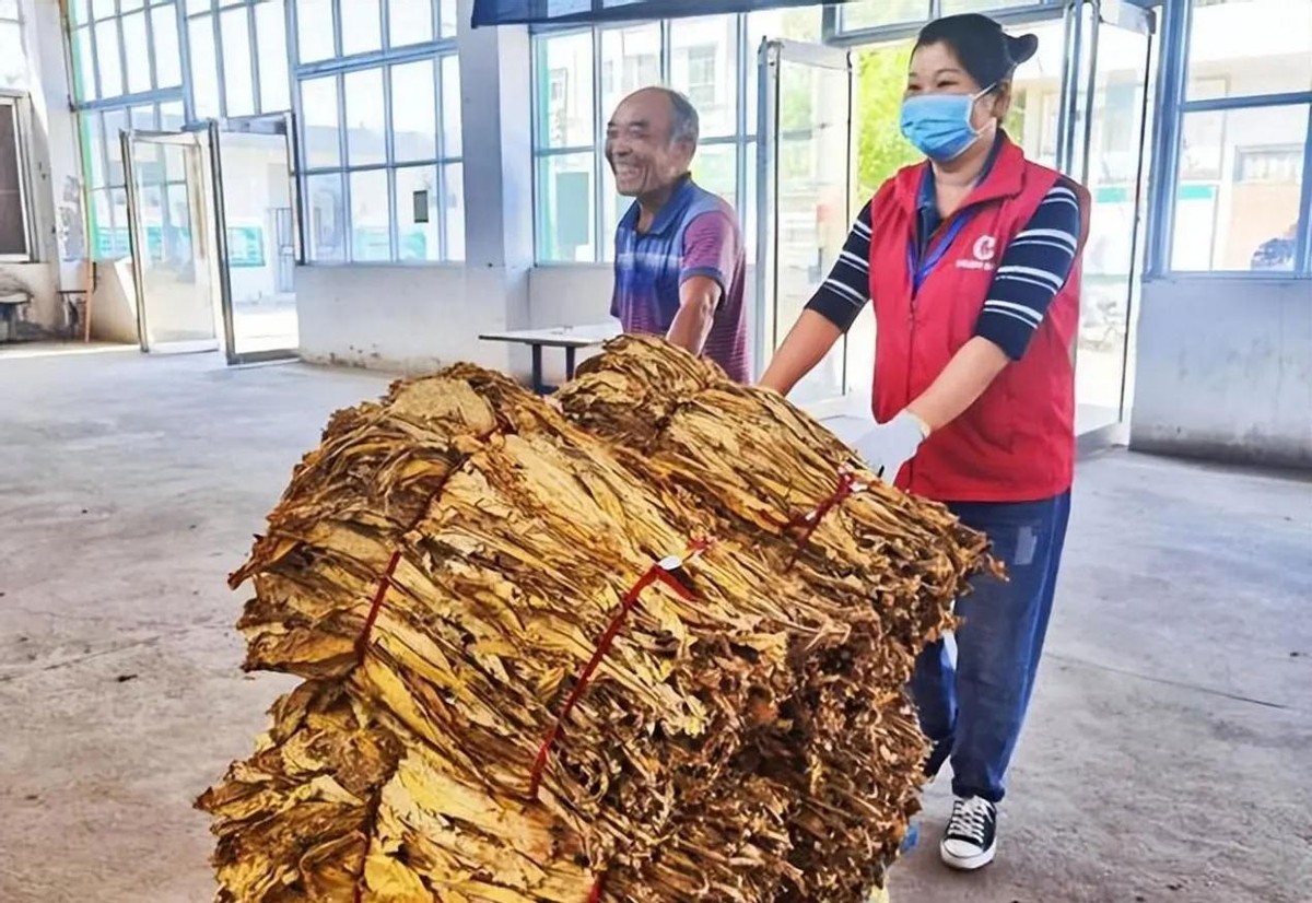 世界最贵的雪茄烟多少钱一支,世界最贵雪茄烟多少一盒