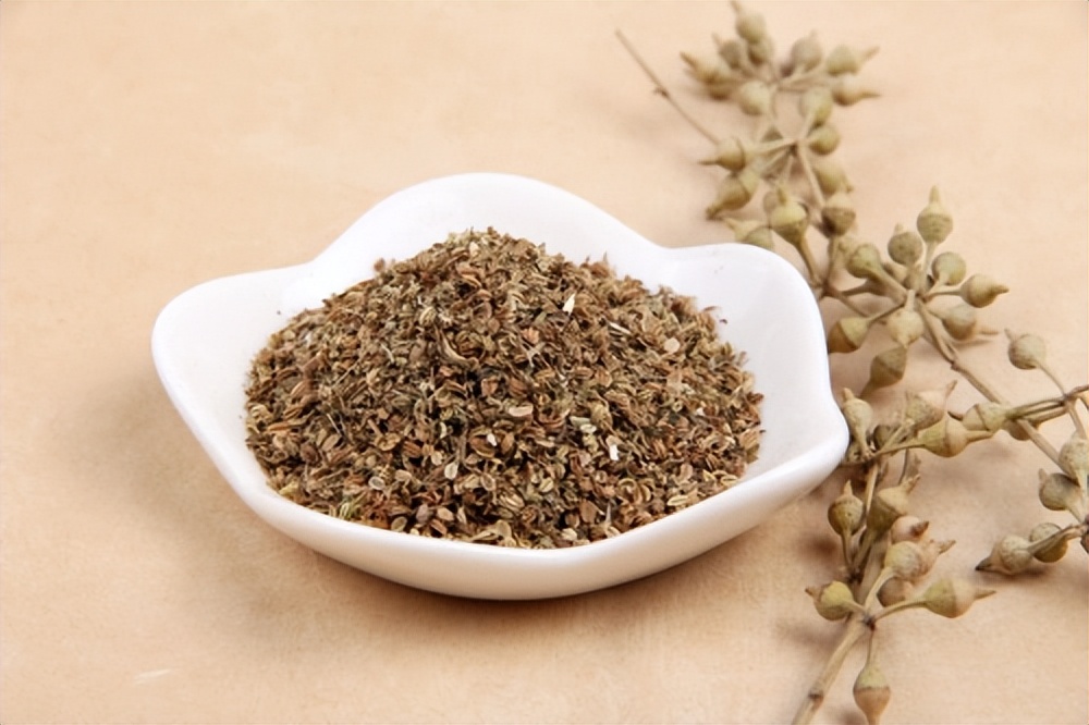 中医认为肛门瘙痒症的发病原因是什么？有何治疗建议？