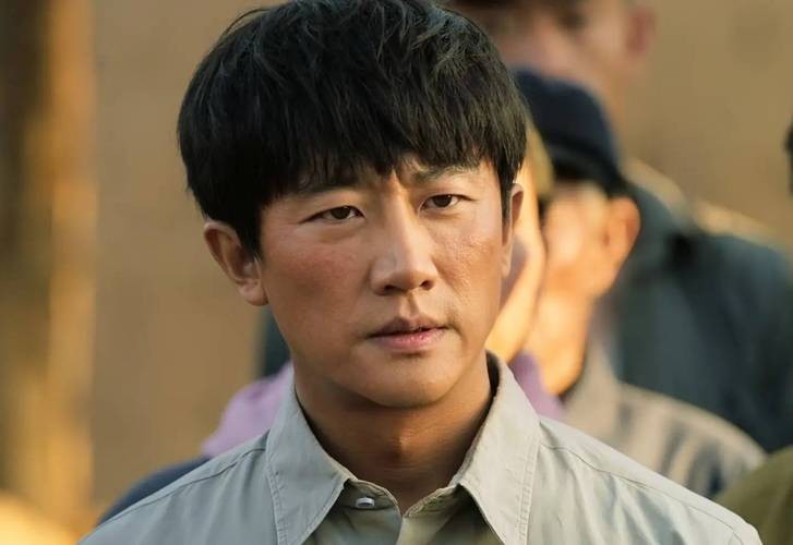 瓦城上空的麦田梗概,瓦城上空的麦田讲什么