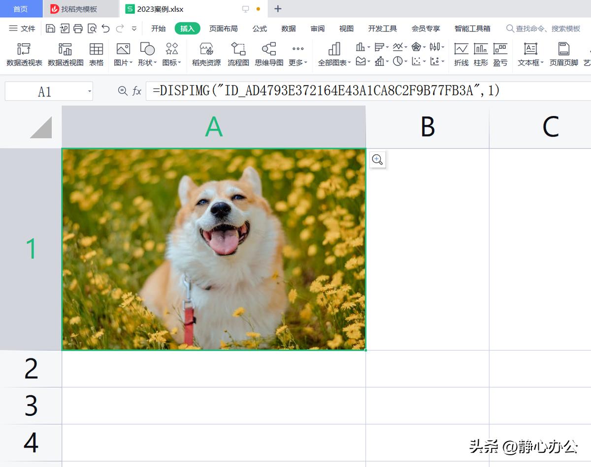 wps表格中怎样将图片嵌入单元格中,wpsexcel如何把图片嵌入单元格