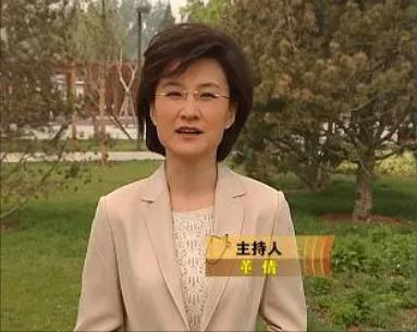 董倩为什么被称为央视名嘴,央视董倩出了什么事