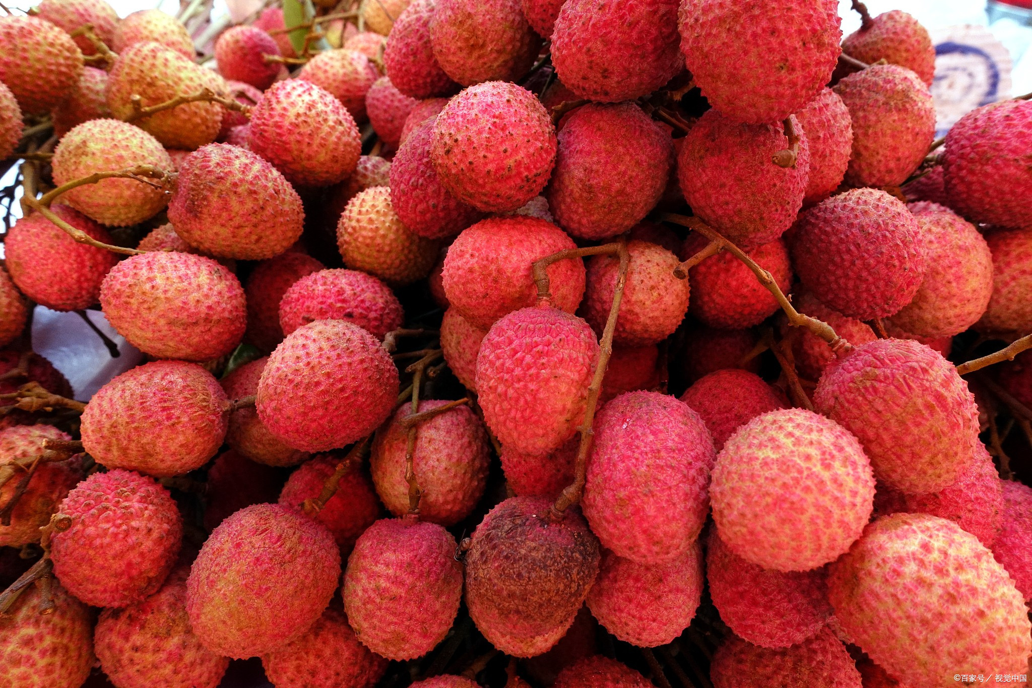 海南省海口市十大特产,海口特产最好品牌有哪些