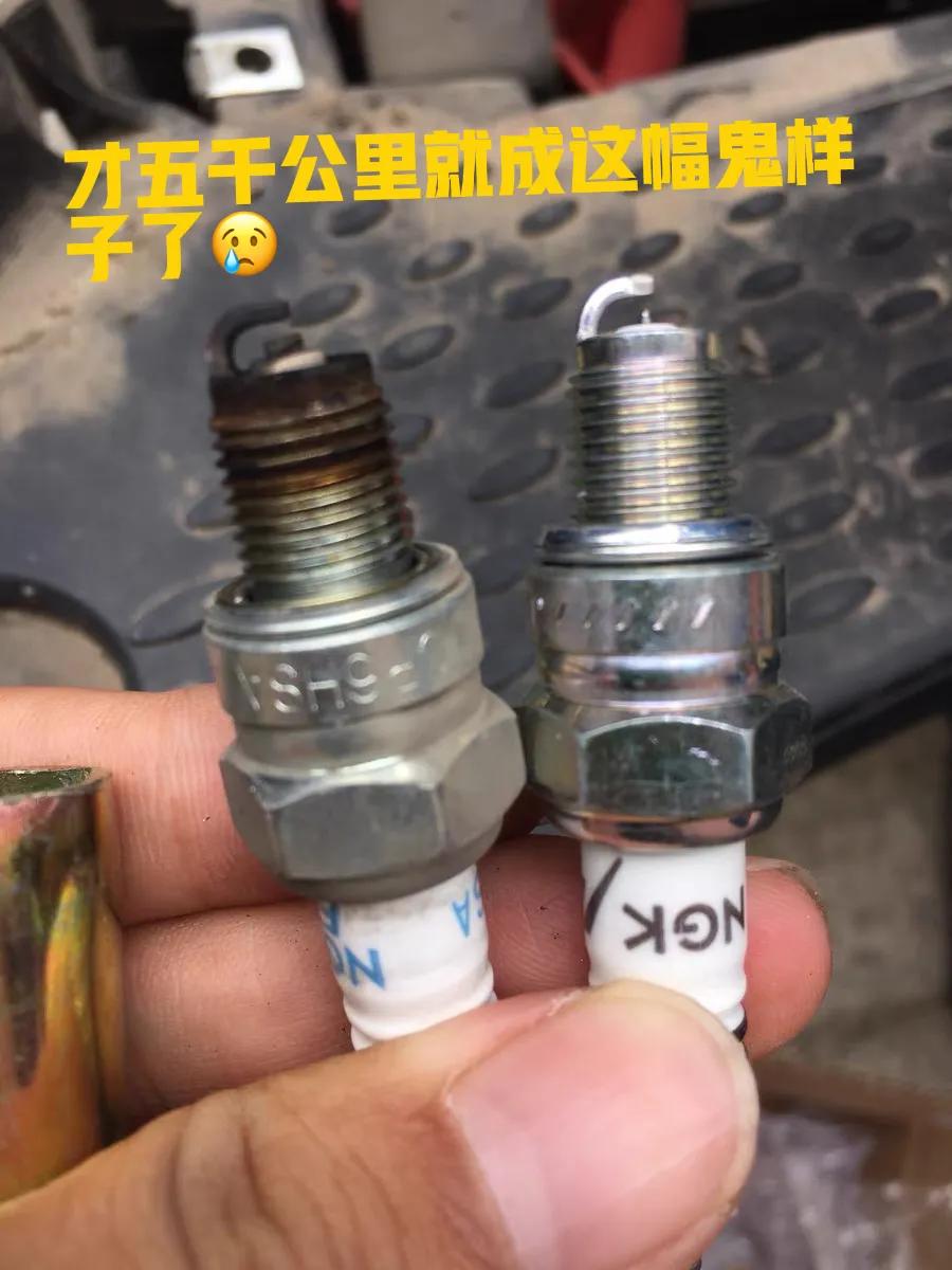 雅马哈巧格发动机不稳,雅马哈巧格发动机耐久性