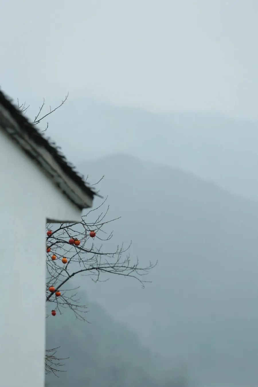 时间雅称大全,时间的别称雅称