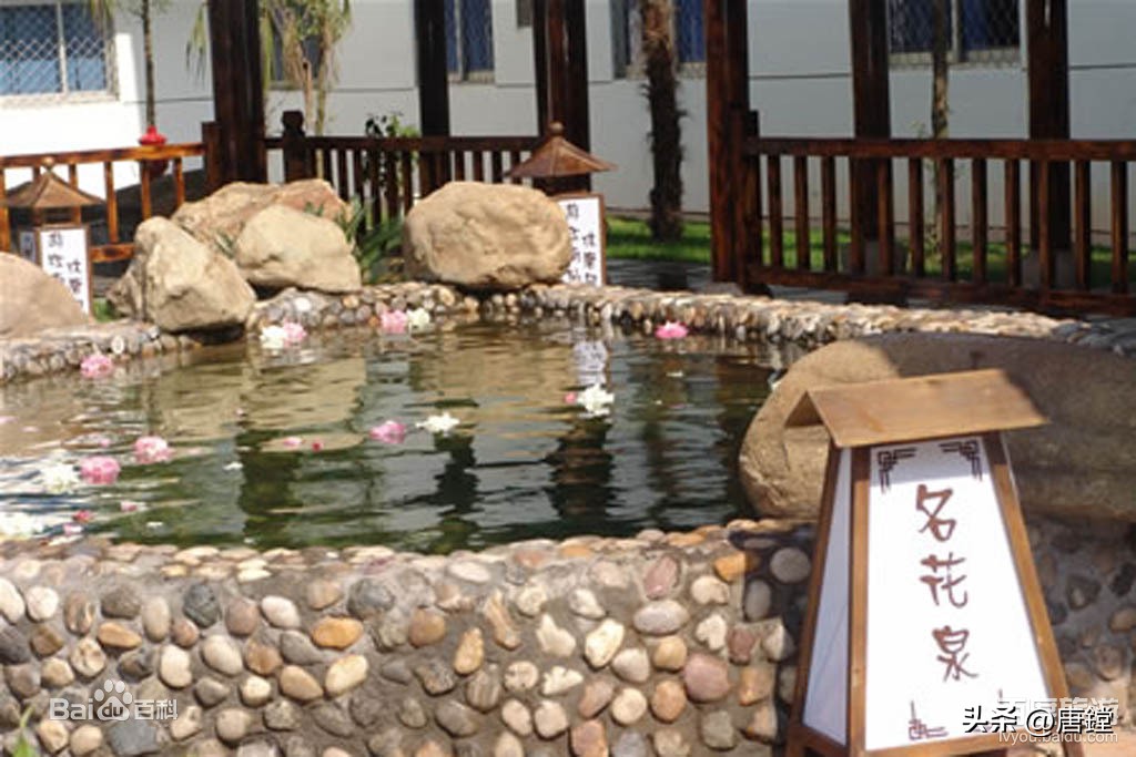 唐风温泉度假村有没有无边泳池,武义唐风温泉度假村私人温泉好吗